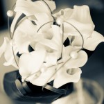 Matrimonio Ascona Isole Brissago